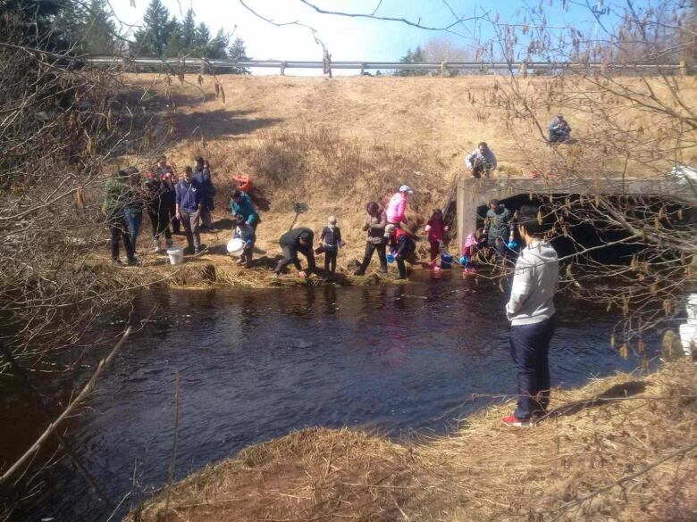 People standing on the banks of a creek fishing 