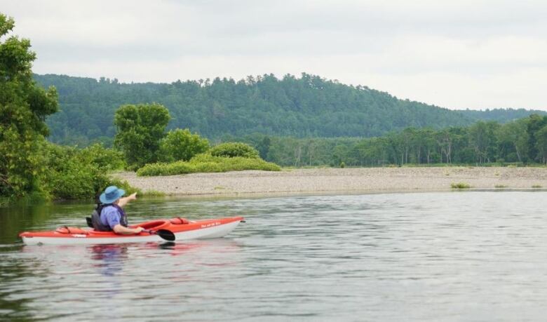 A kayaker on a river