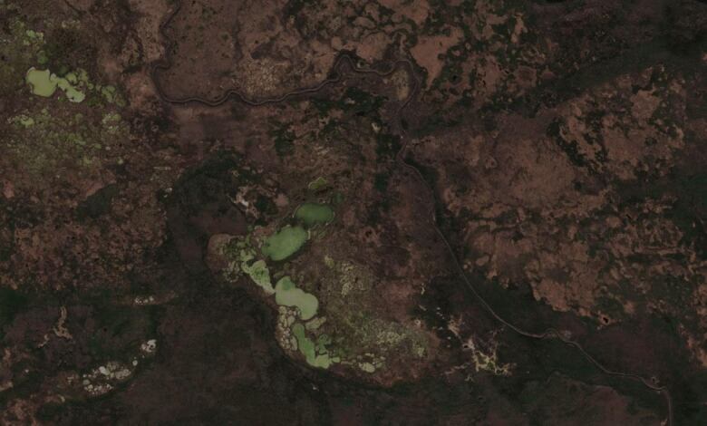 An image of land taken from satellite imagery