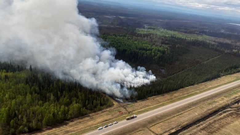 Smoke arises from a forest, which is seen from above.