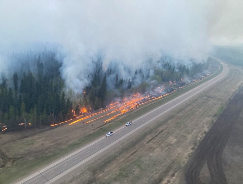 Rows of fire are seen next to a smoking forest in an overhead view.