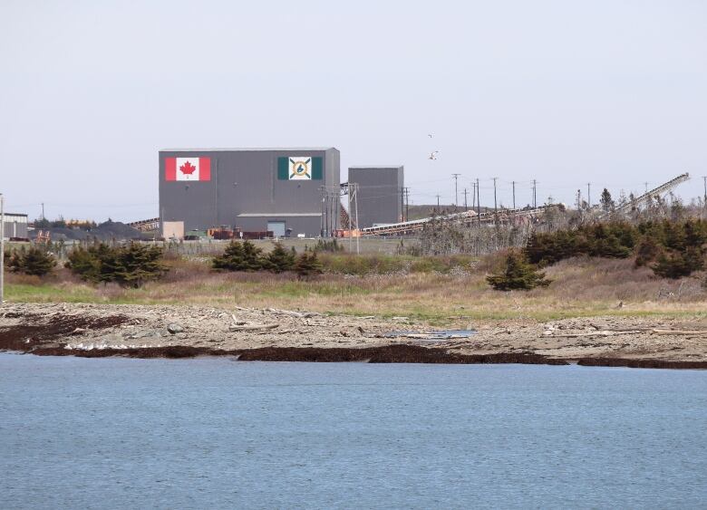 A pair of seagulls fly past a large grey building in the distance with a red and white Canadian flag and a green, yellow and white Cape Breton flag on it.