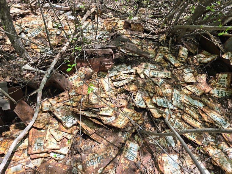 Hundreds of green and white rusting license plates sit on the forest floor along with some rusting hunks of other garbage.