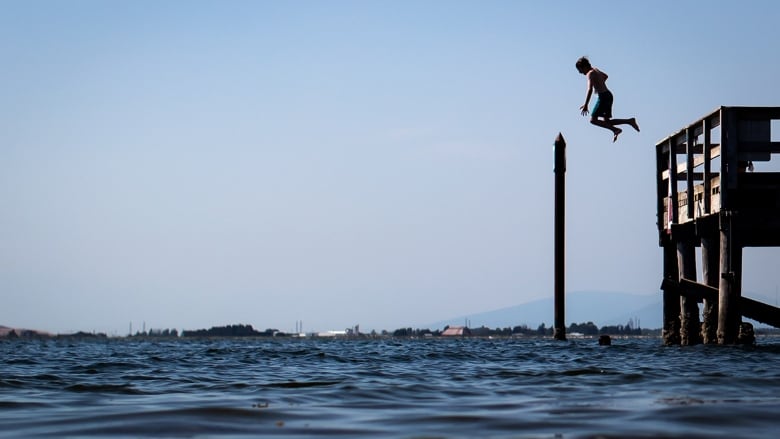 A young boy is silhouetted as he jumps off the pier at a beach.