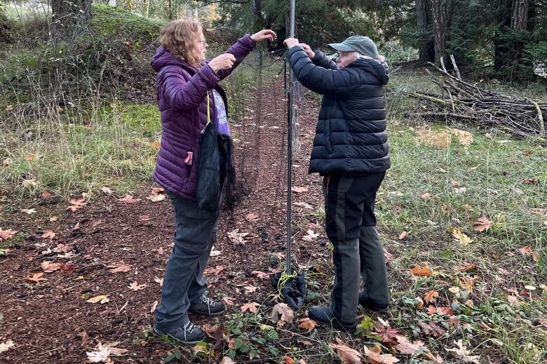 Two women set up a net in a forest.