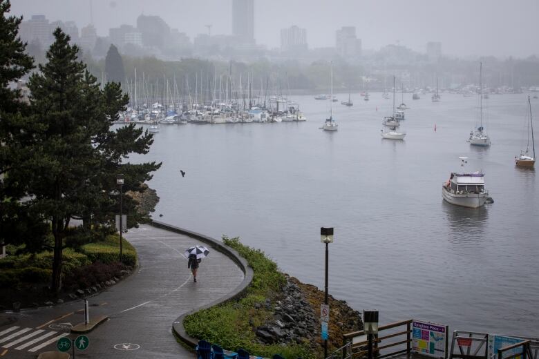 A person carrying an umbrella walks on a path next to a large water body during a period of heavy rain, with boats and buildings in the background obscured by rain.