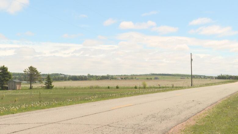 An empty large green field beside the road. There are a few trees in the distance and a small shed. 