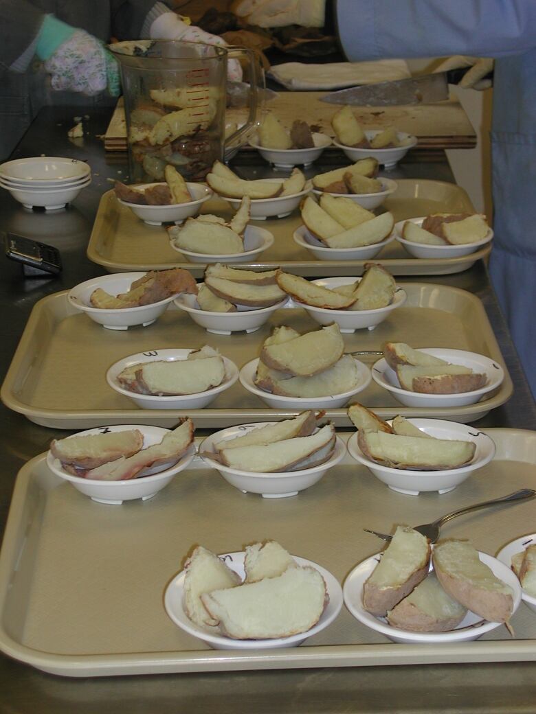 Dishes of potatoes being tested for how well they cook 