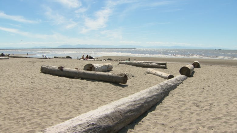 A beach front on a sunny day with sand and logs in the foreground and the ocean in the background.