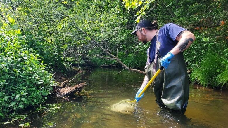 A man dips a long-handled fish net into waist-deep water. 