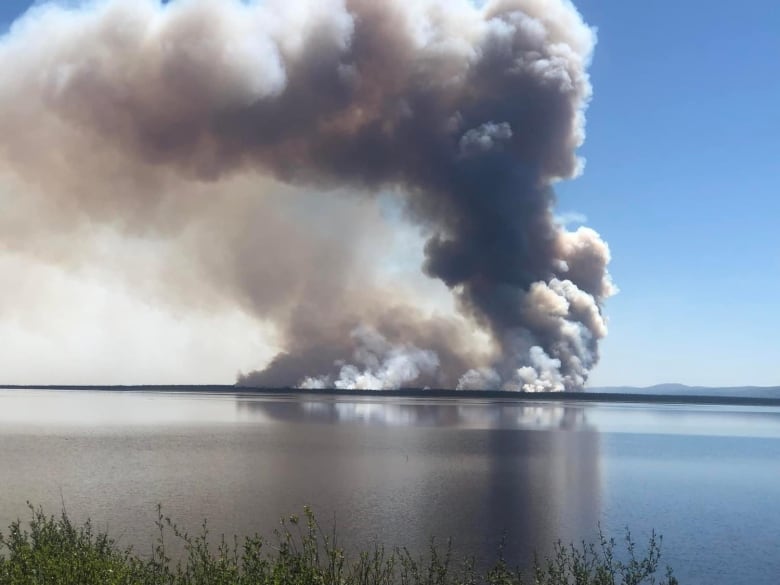 A wide shot of a large forest fire. There is smoking billowing out of a patch of land high into the air.