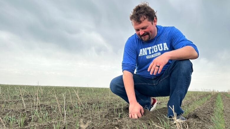 A man kneels in a wheat field