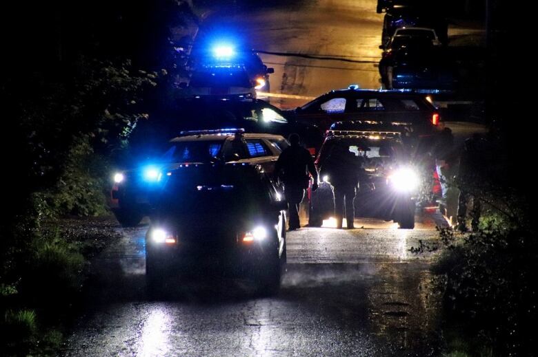 Several police cars with flashing lights are pictured on a residential street.