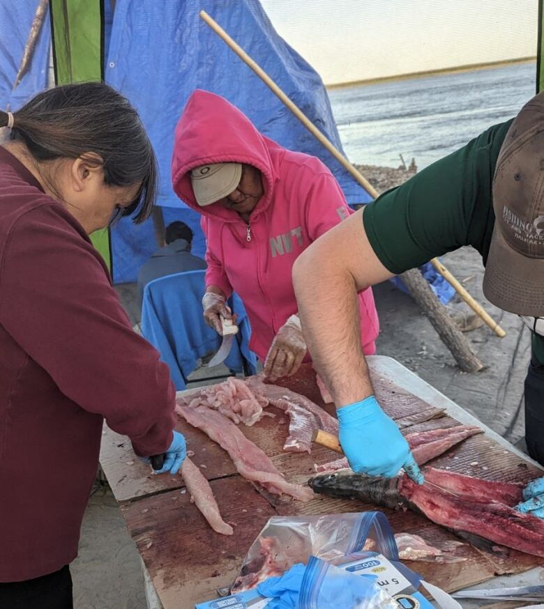 3 people de-skin fish under a tarp awning