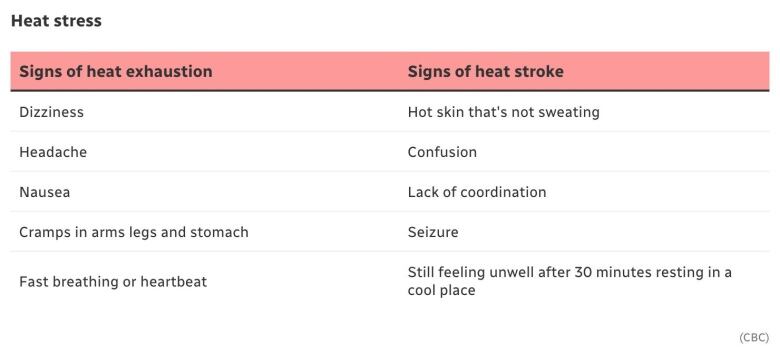 Table identifying signs of heat exhaustion and heat stroke