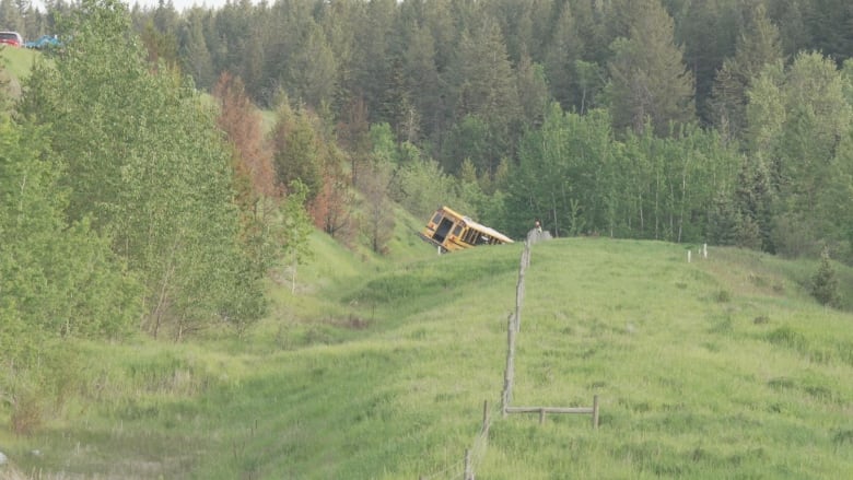 A yellow school bus lodged in a grassy embankment next to a highway.