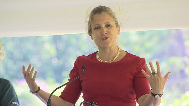 Chrystia Freeland, Canada's Deputy Prime Minister and Minister of Finance, speaks at a podium during a news conference.