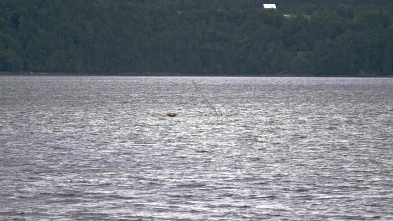 A pole and a small floating object are barely visible in the choppy water of a river. 