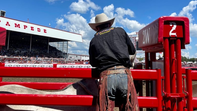 A cowboy stands beside a horse in a bucking chute. 