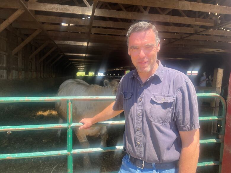 A man stands in front of a gate with a cow in the background 