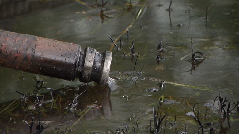 Oil spill Pointe-aux-Trembles