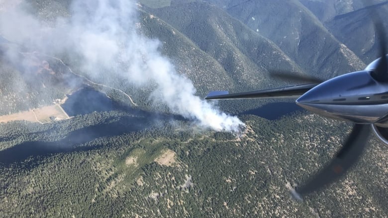 Smoke rises from a ground fire, seen from an aerial picture