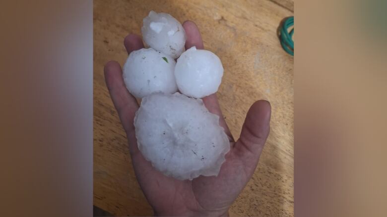 A person's hand holds three large pieces of hail.