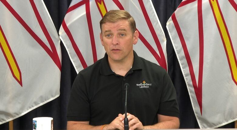 A man in a black shirt sitting in front of Newfoundland flags. 