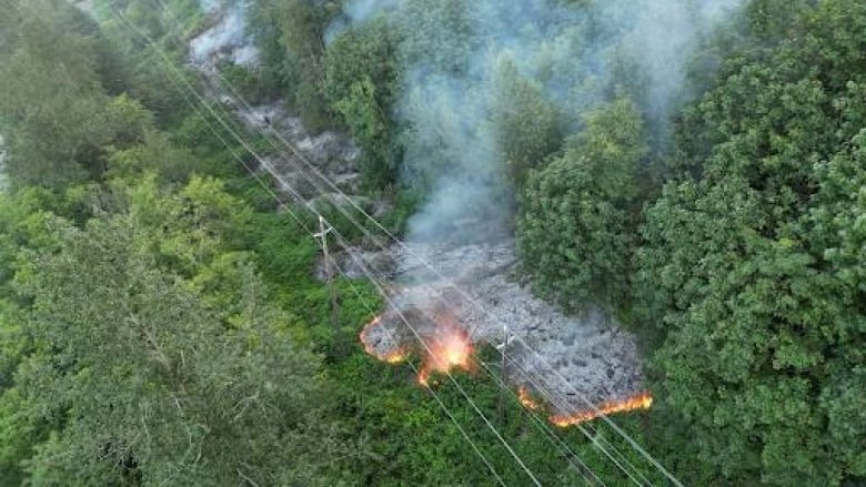 Fire burns along a hydro right-of-way in green forest.