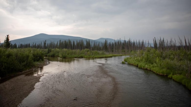 Haggart Creek.