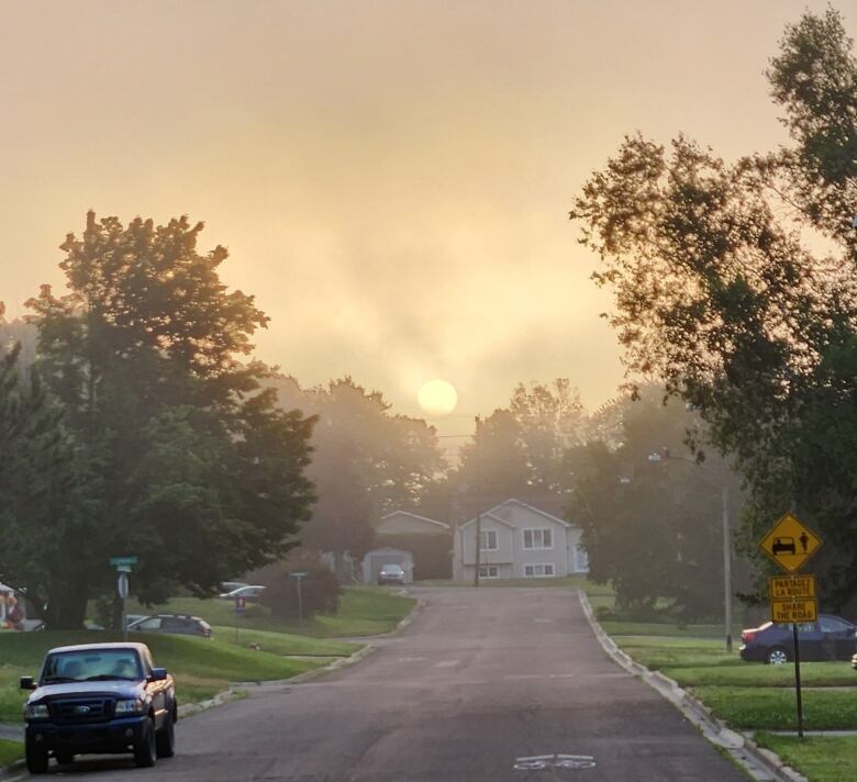 The sun rises in a hazy, yellow mist over a residential street. 