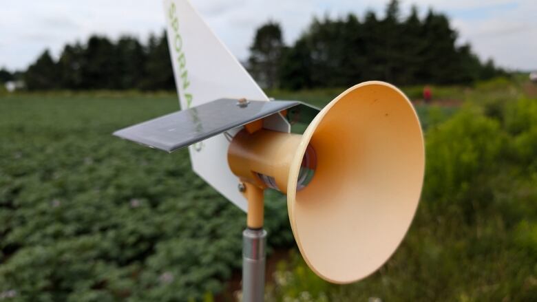 A device with a cone in the front and a fin in the back on a pole in a potato field 