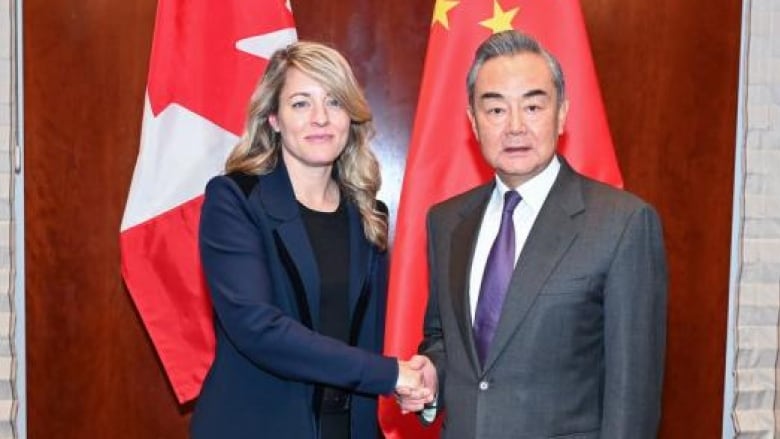 Mlanie Joly wears a blue blazer and China's Foreign Minister Wang Yi a grey suit as they shake hands in front of their national flags. 