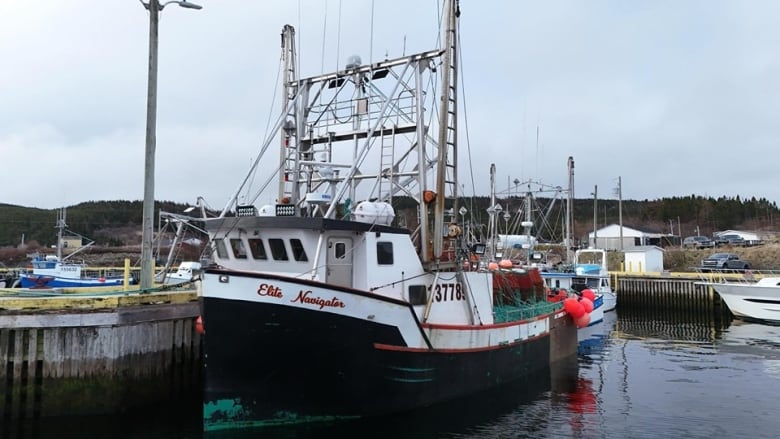 Image of a boat at dock with Elite Navigator written on side