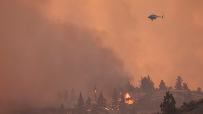 A helicopter flies throughs smoke and above flames.