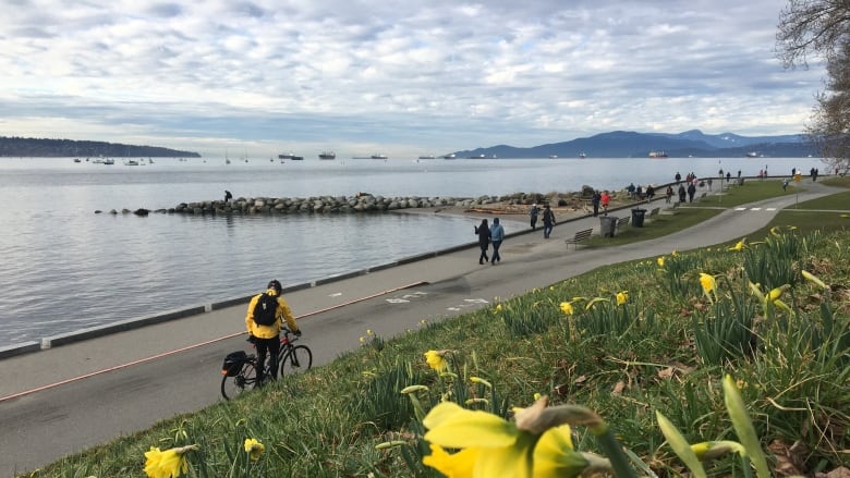 Joggers, cyclists and walkers walk along a picturesque waterfront.