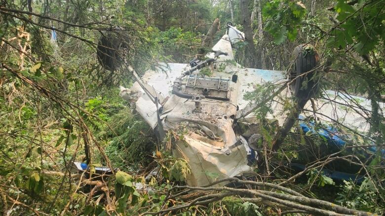 A small plane lies upside down in a treed area.