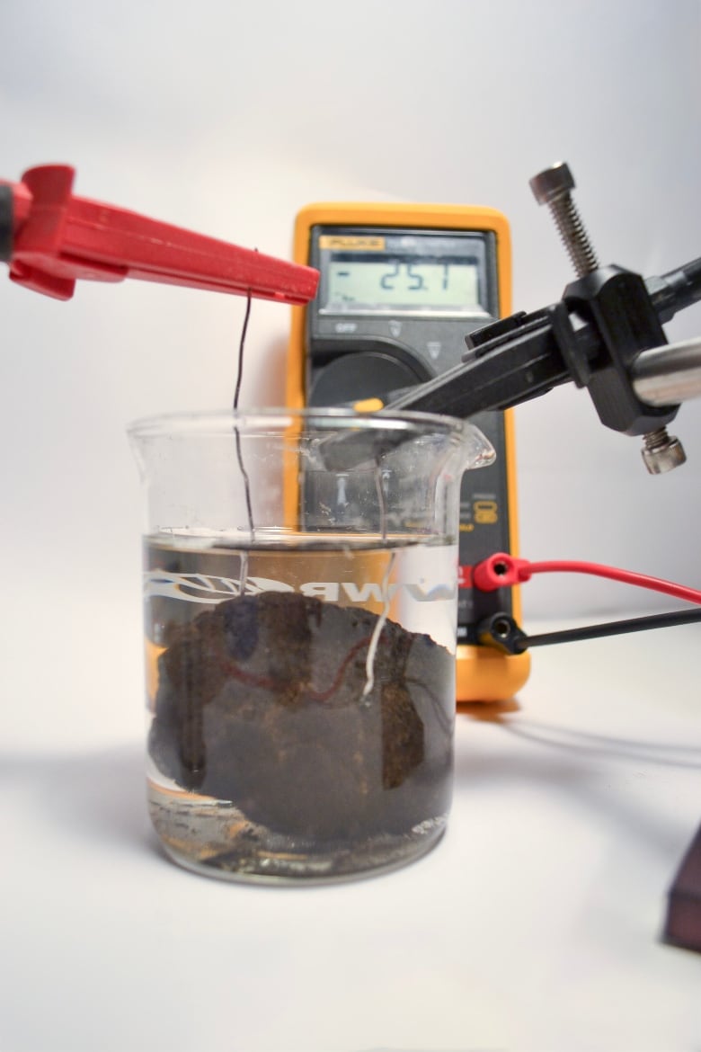 Polymetallic nodules, collected from the ocean floor, sit in simulated seawater in chemist Franz Geiger's laboratory at Northwestern University. Platinum electrodes measure the nodules voltages.