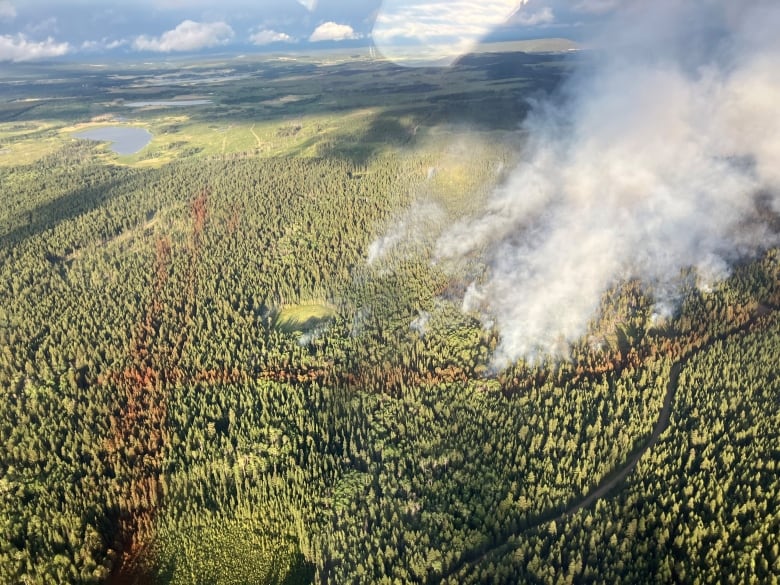 Plumes of smoke and fire rise from a picturesque forest.