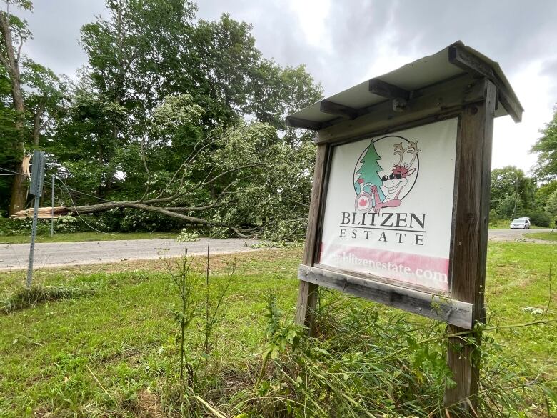 A sign for Blitzen Estate is in front of multiple down trees. 