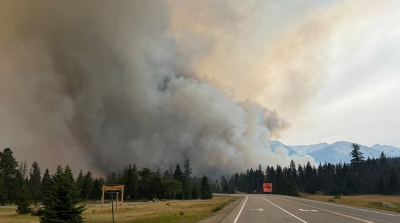 Large plume of smoke over a road.