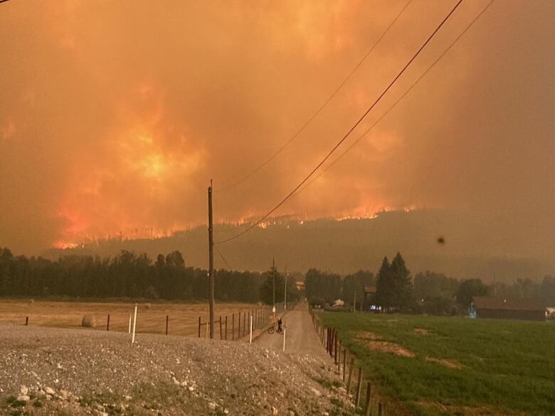 A hillside on fire seen from a gravel road. The sky is smoky and orange.