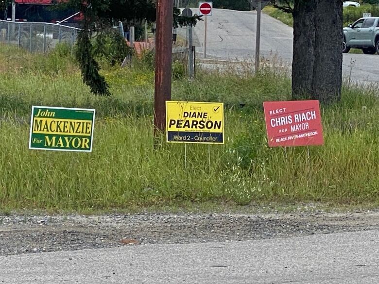 Election signs on a lawn. 