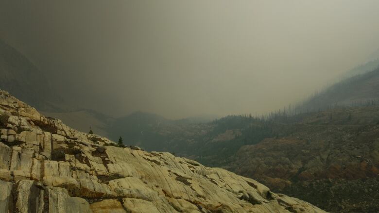 Pictured is thick smoke from the Argenta Creek wildfire in B.C.'s West Kootenay. 