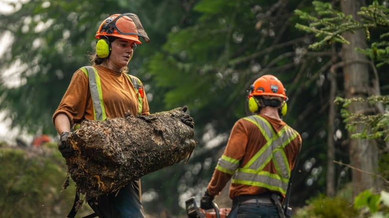 Two firefighting crews clearing debris at a wildfire zone.