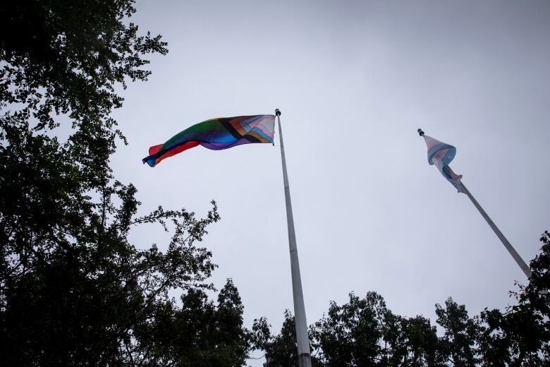 Two rainbow-coloured flags flutter atop poles on a cloudy day.