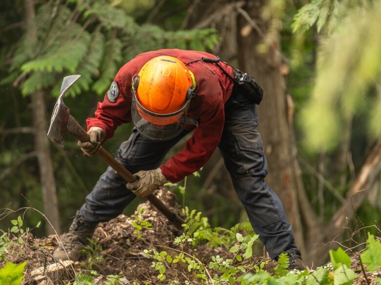 A wildfire fighter digs using an axe-like instrument.