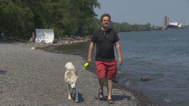 A man walking his husky along a beach. 