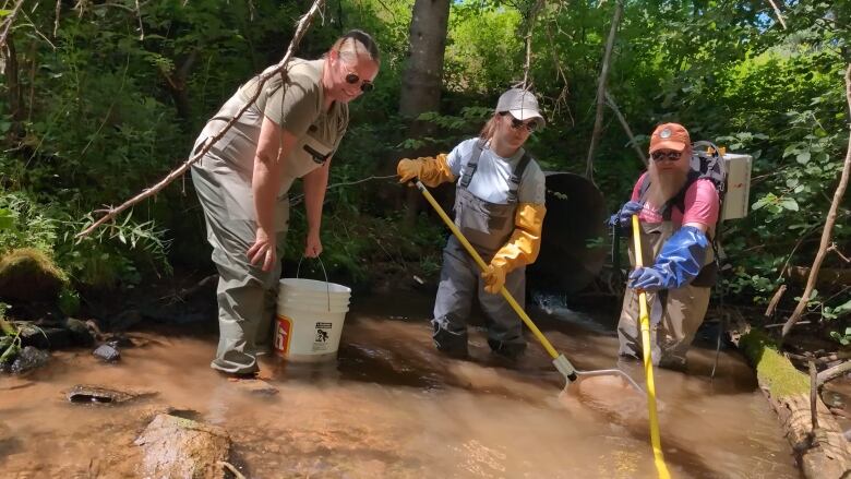 Three people standing in a stream, one has a net, the other a pole. 