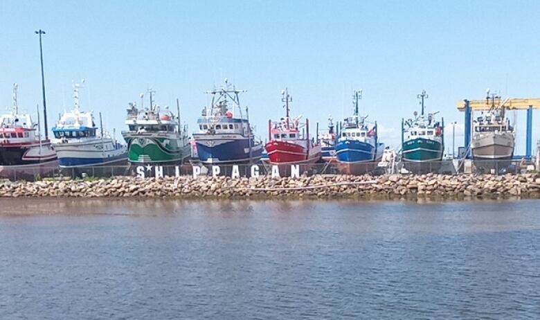 A row of colourful boats are docked at stone breakwater on a sunny day.